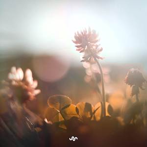 Everything the Light Touches (Atmosphaera)