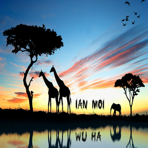 Wu Ha (Original Mix)