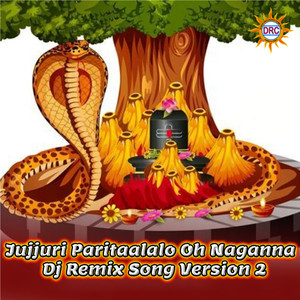 Jujjuri Paritaalalo Oh Naganna (Dj Remix Version 2)