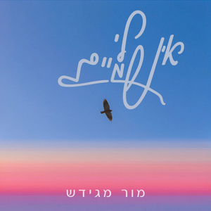 אין לי שמיים