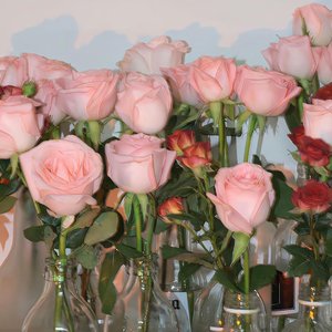 You mean everything to me