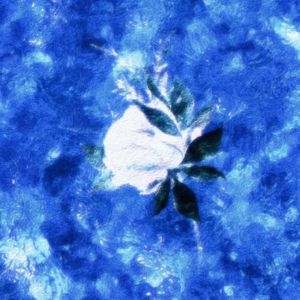 祝福bless. (prod.by Morrow)