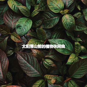 Jazz Organ Soundtrack for Wild Imaginations