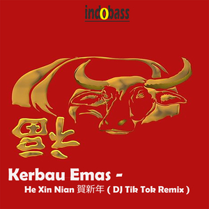 He Xin Nian 賀新年 (DJ Tik Tok Remix)