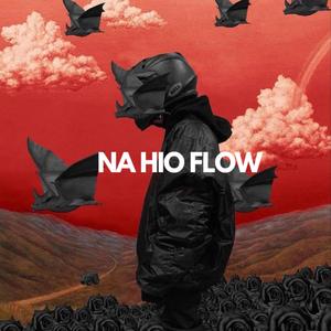 NA HIO FLOW