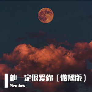 他一定很爱你(微醺版)