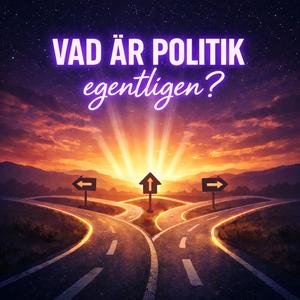 Vad är politik egentligen