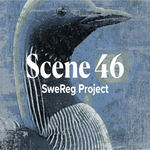 Scene 46