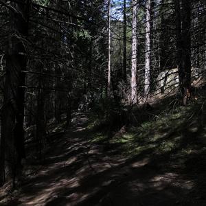 Fericirea (feat. Pørta) (Extended Version)