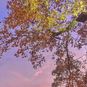 写一首歌关于你(prod.by Yzz)