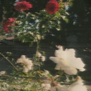 Teahouse (feat. SAINSTUDIO)