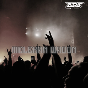 Melekan Wadon (Dj Remix)