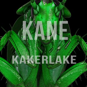 Kakerlake