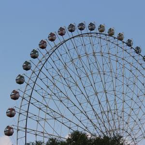 再见我和你 完整版