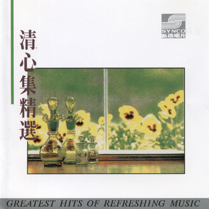 365里路 (演奏曲)