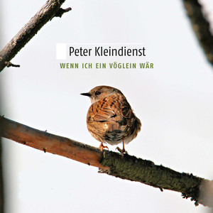 Wenn ich ein Vöglein wär ...