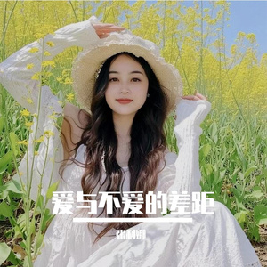 爱与不爱的差距