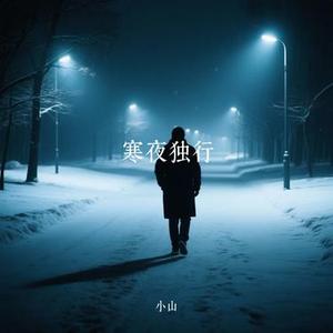寒夜独行