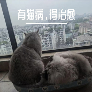 松弛的周末 下