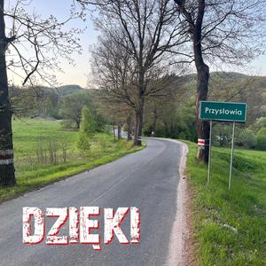 Przysłowia - Polak