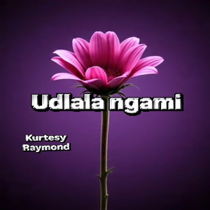 Udlala ngami