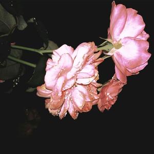 [FREE]“闪灵”Boombap/Diss/Freestyle Type Beat