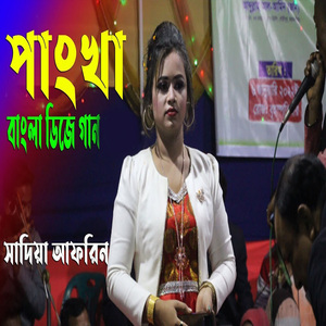 তোমার লাগি পাংখা হলো মন