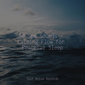 Soul's Melodic Journey