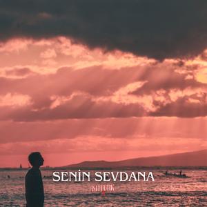 Senin Sevdana (Duygusal Enstrümantal Türk Müziği)