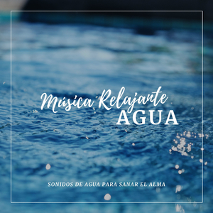 Estabilidad (Terapia de Masajes)