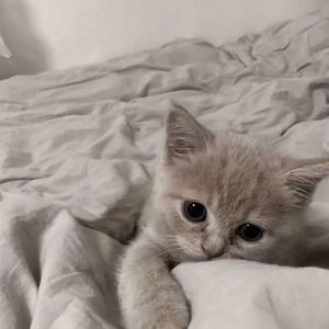 没有第二次机会