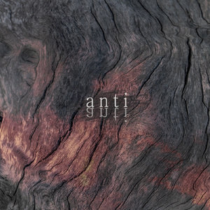 anti (Inst.)