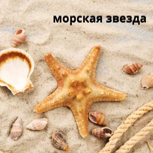 Советы мореплавателя