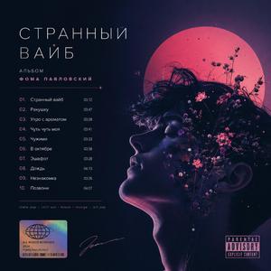 НЕЗНАКОМКА
