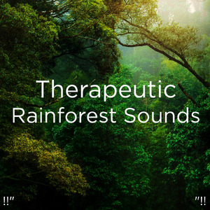 수면을위한 바다의 소리