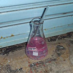 Balance Beam (feat. Kayah)