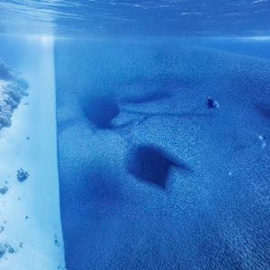 streetlight(Plume remix)