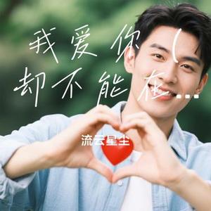 我爱你 (却不能在一起)