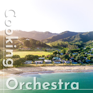 Shoreline On My Mind