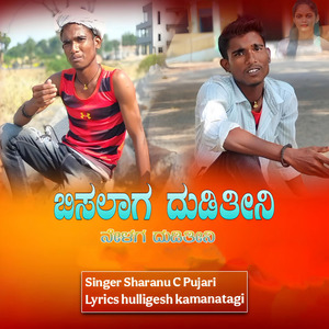 ಬಿಸಿಲಾಗ ದುಡಿತಿನಿ ನೇಳಗ ದುಡಿತಿನಿ