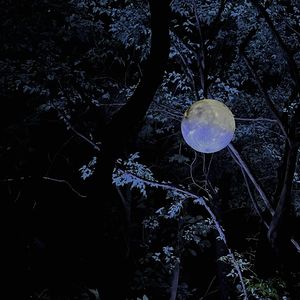 孽海记