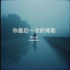 你最后一次的背影