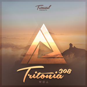 Answers (Tritonia 308) (Original Mix)
