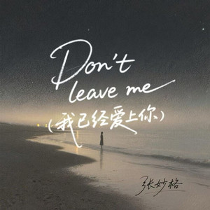 Don't leave me （我已经爱上你）1.1X版
