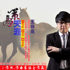 策马天涯（王晓亮）