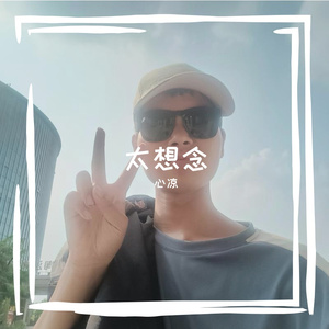 心凉-太想念(Remix)