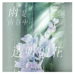 雨是山谷中透明的花