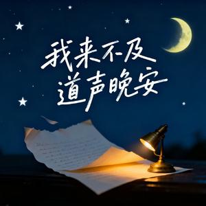 我来不及道声晚安（热播版）