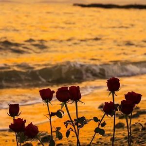 I can do anything for U