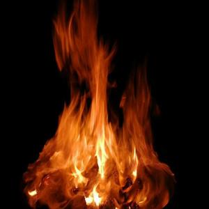 斑马斑马（吉他弹唱版）